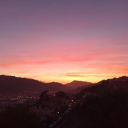Il Glicine Cozy Appartamnent, Near Sestri Levante Between Cinque Terre E Portofino Casarza Ligure Exteriör bild