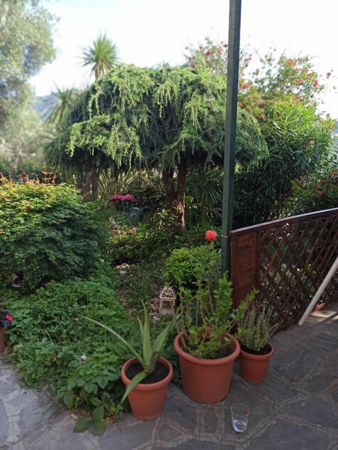 Il Glicine Cozy Appartamnent, Near Sestri Levante Between Cinque Terre E Portofino Casarza Ligure Exteriör bild