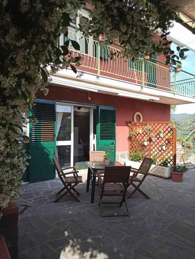 Il Glicine Cozy Appartamnent, Near Sestri Levante Between Cinque Terre E Portofino Casarza Ligure Exteriör bild