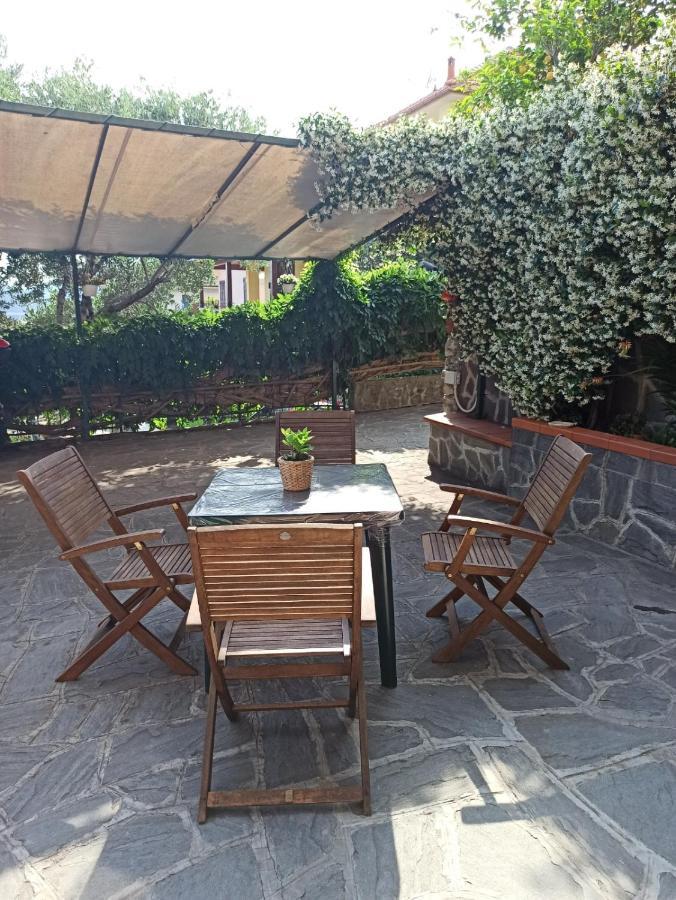 Il Glicine Cozy Appartamnent, Near Sestri Levante Between Cinque Terre E Portofino Casarza Ligure Exteriör bild
