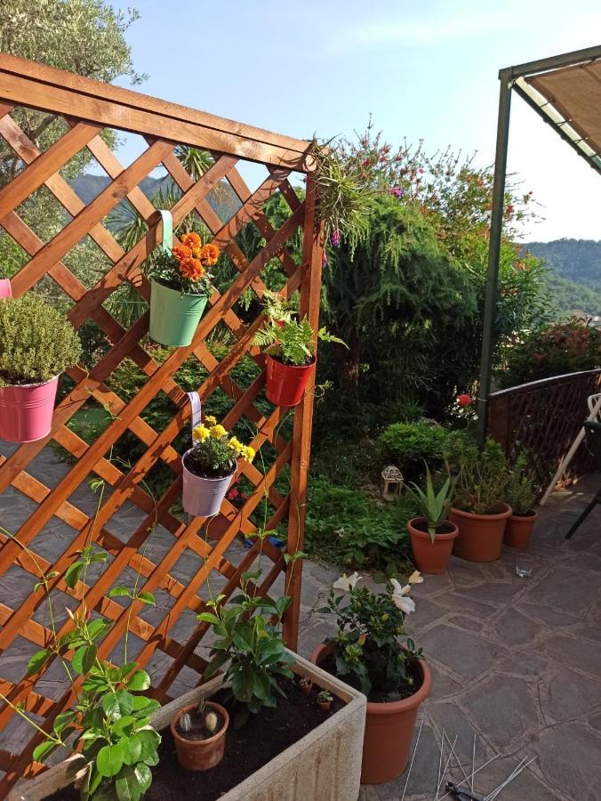Il Glicine Cozy Appartamnent, Near Sestri Levante Between Cinque Terre E Portofino Casarza Ligure Exteriör bild