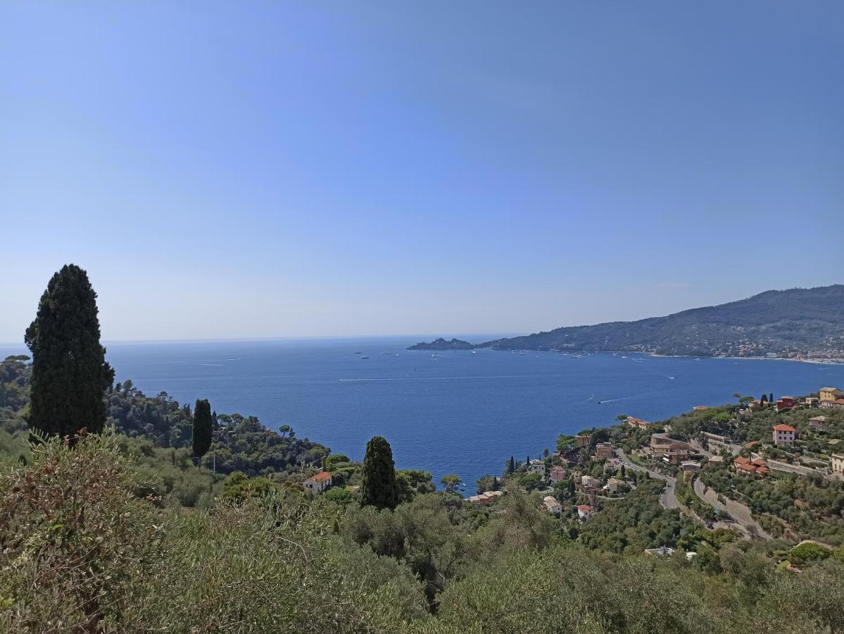 Il Glicine Cozy Appartamnent, Near Sestri Levante Between Cinque Terre E Portofino Casarza Ligure Exteriör bild