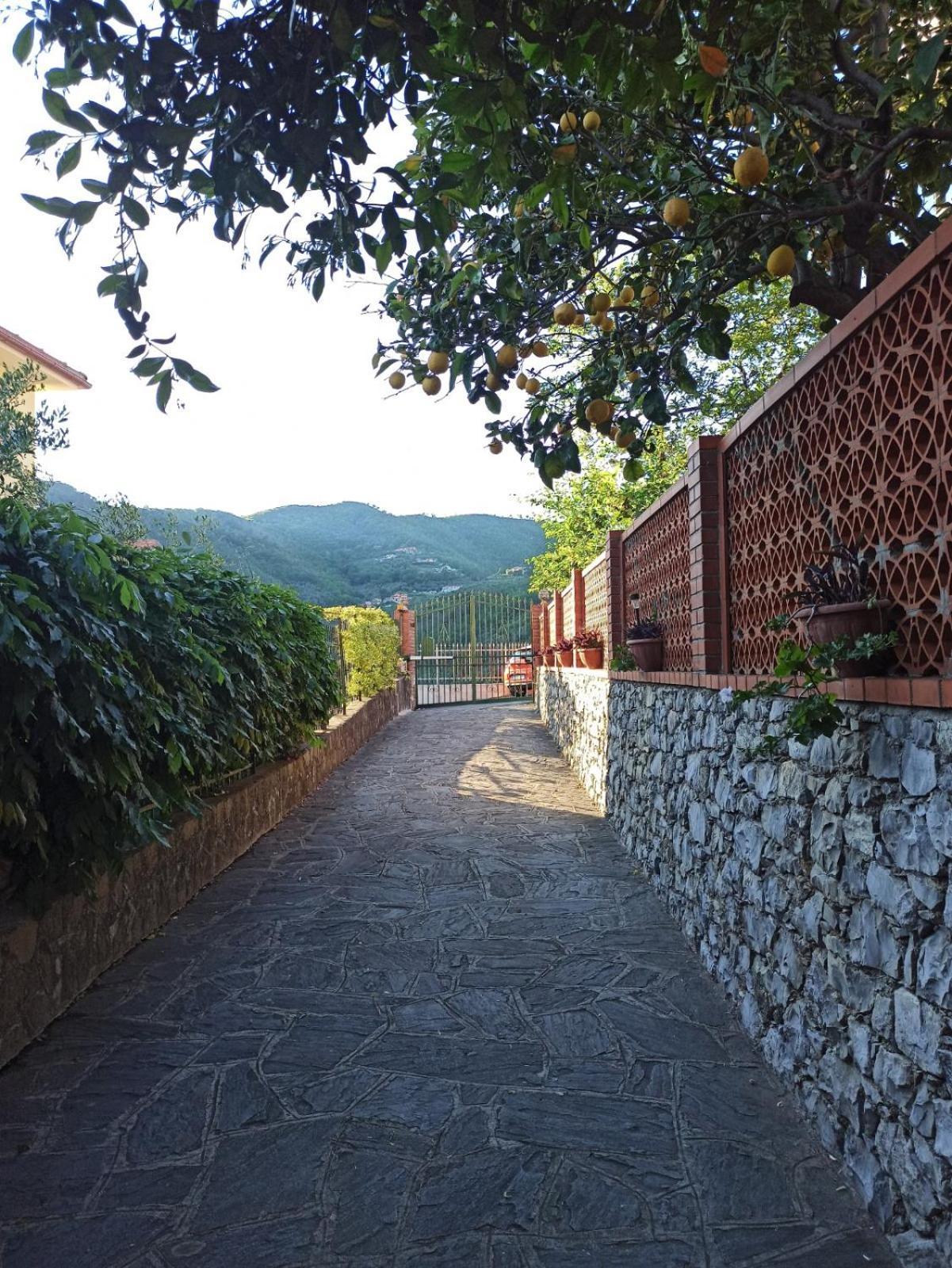 Il Glicine Cozy Appartamnent, Near Sestri Levante Between Cinque Terre E Portofino Casarza Ligure Exteriör bild