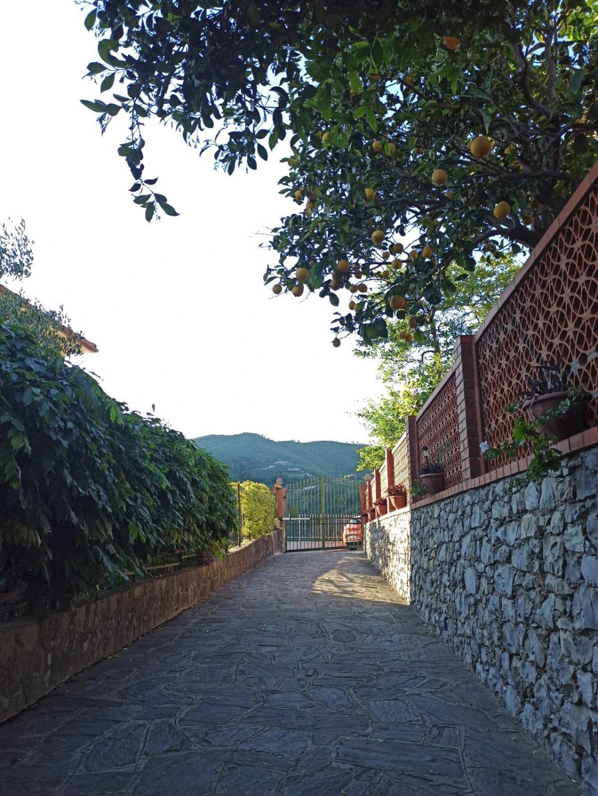Il Glicine Cozy Appartamnent, Near Sestri Levante Between Cinque Terre E Portofino Casarza Ligure Exteriör bild